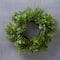 6 Pack: 9" Green Mini Boxwood Wreath with Flowers by Ashland®